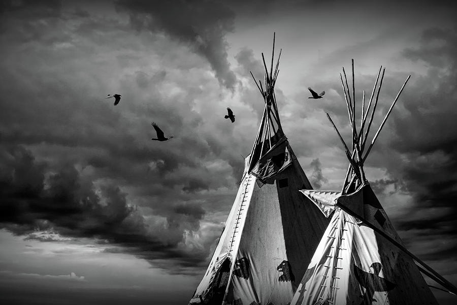 Black and White of the Home of the Children of the Large Beaked Bird Photograph by Randall Nyhof