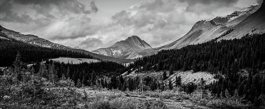 Black And White Panorama Alberta Mountains by Dan Sproul Black And White Panorama Alberta Mountains by Dan Sproul