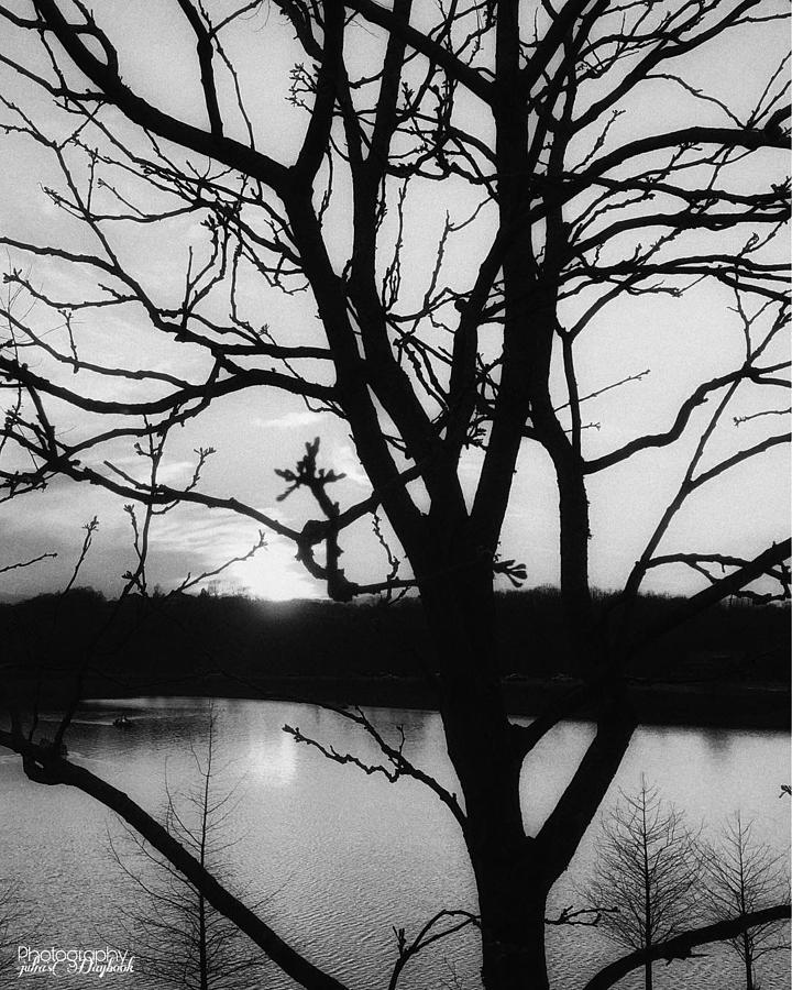 Black and White Peace at the River Photograph by Julia Phillips - Fine ...