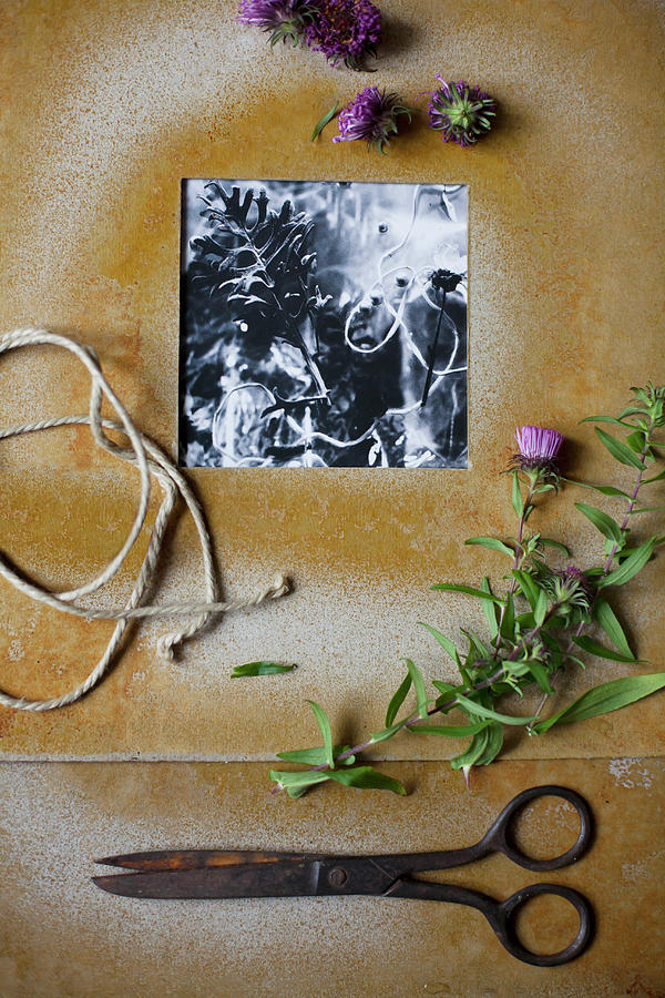 Black-and-white Photo In Hand-made Frame, Flowers, Vintage Scissors And Yarn Photograph by Alicja Koll