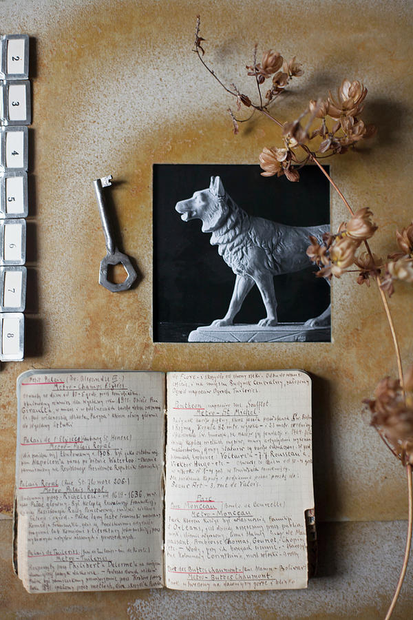 Black-and-white Photo In Handmade Frame, Dried Flowers And Note Book Photograph by Alicja Koll