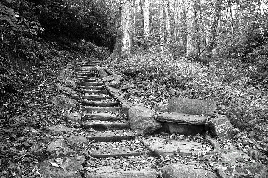 Black And White Stone Bench Photograph by Phil Perkins