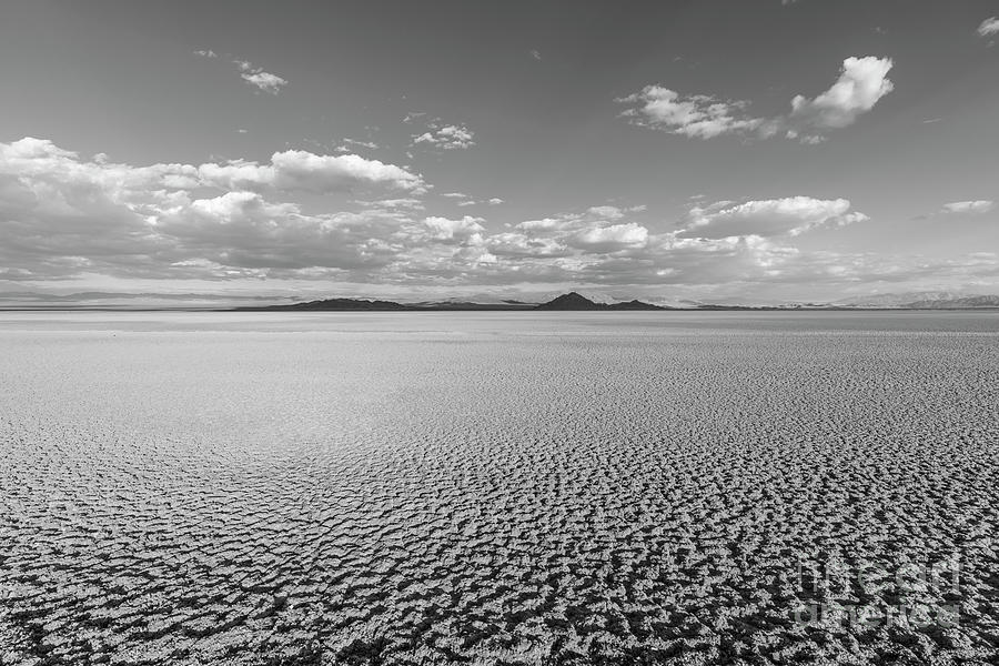 Black And White Photograph - Black and White View of Soda Dry Lake Near Baker California  by Trekkerimages Photography