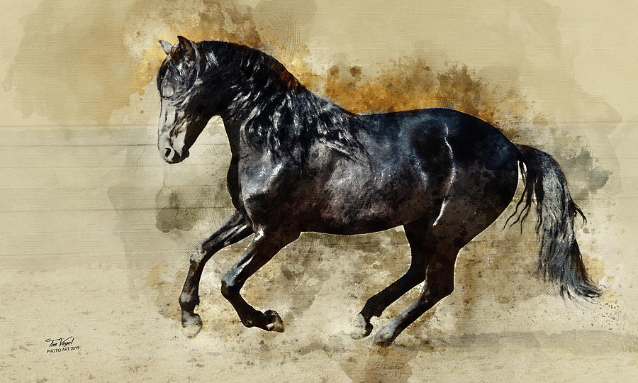 Black Andalusian Galloping Digital Art By Tim Vogel
