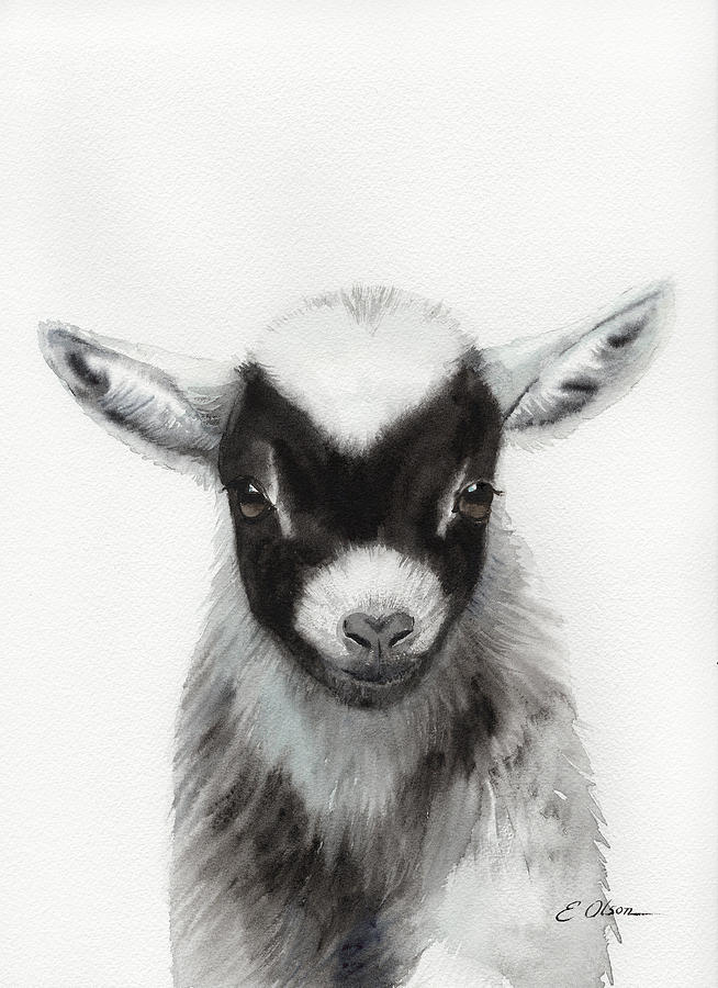 Black Baby Goat Painting by Emily Olson - Pixels