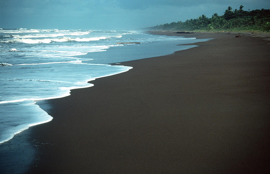 Black Beach In Costa Rica Photograph by Robas
