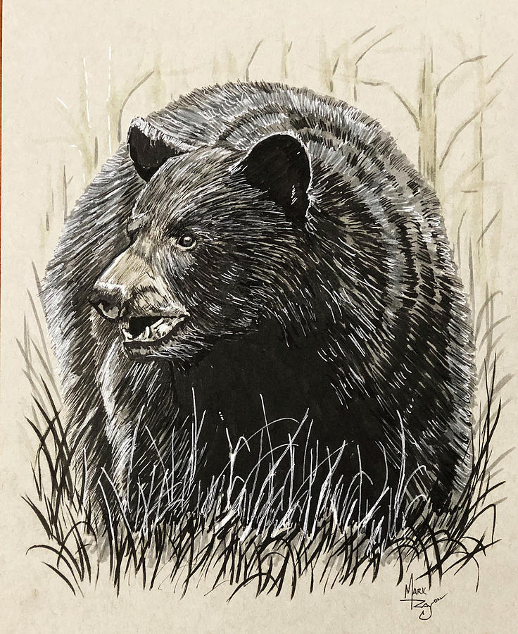 Black Bear Painting by Mark Ray