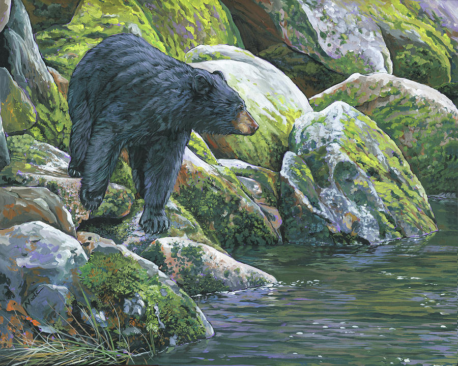 Black Bear Painting by Nadi Spencer