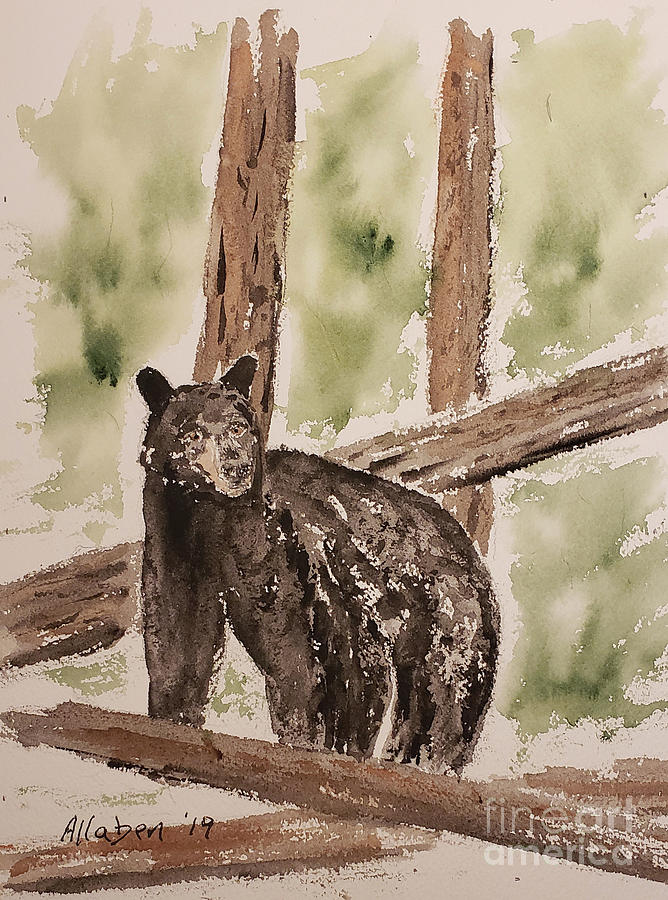 Black Bear by Stanton Allaben Black Bear by Stanton Allaben