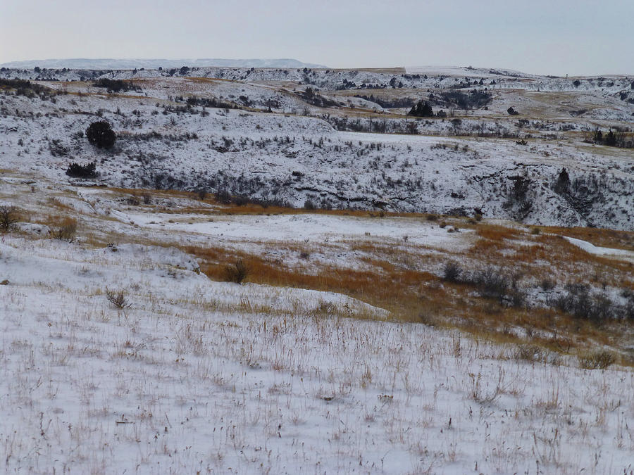 Black Butte January Prairie Photograph by Cris Fulton