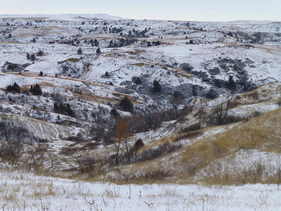 Black Butte Prairie Winter Photograph by Cris Fulton