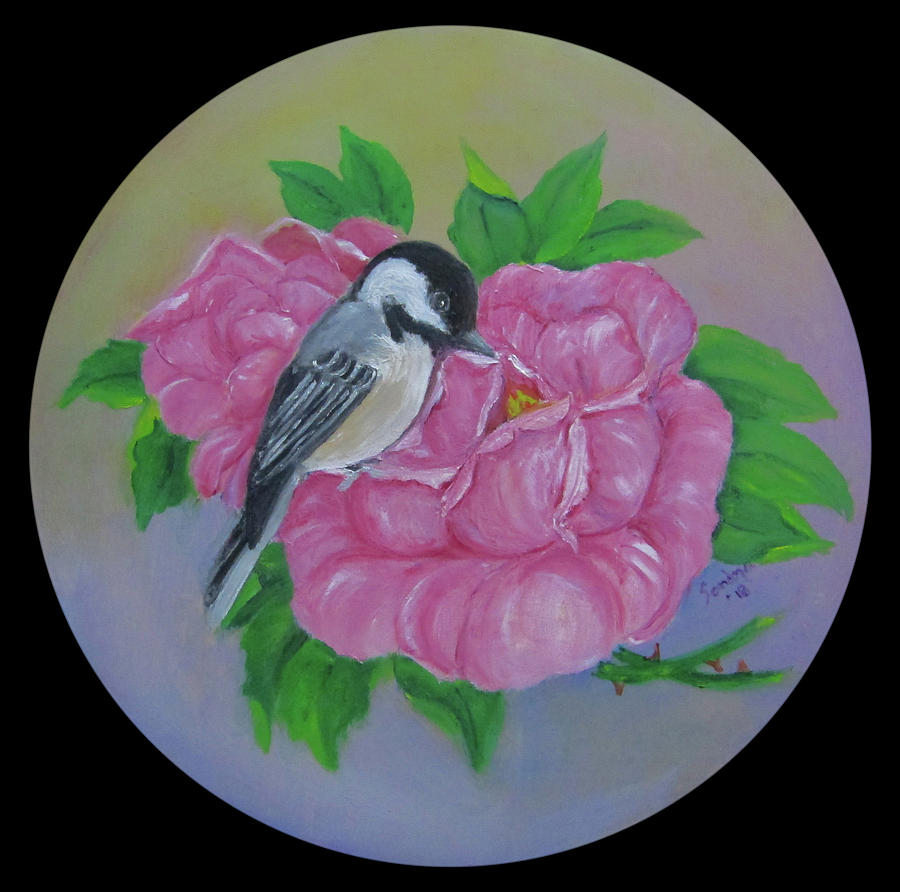 Black-capped Chickadee by Sandra Maddox Black-capped Chickadee by Sandra Maddox