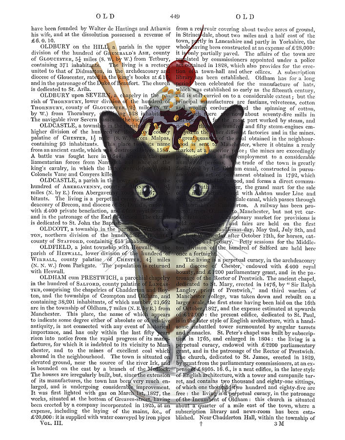 Cat Painting - Black Cat Ice Cream Sundae Book Print by Fab Funky
