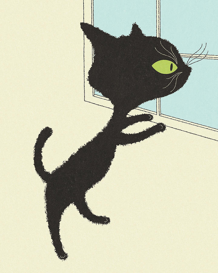 Black Cat Looking Out a Window Drawing by CSA Images - Fine Art America