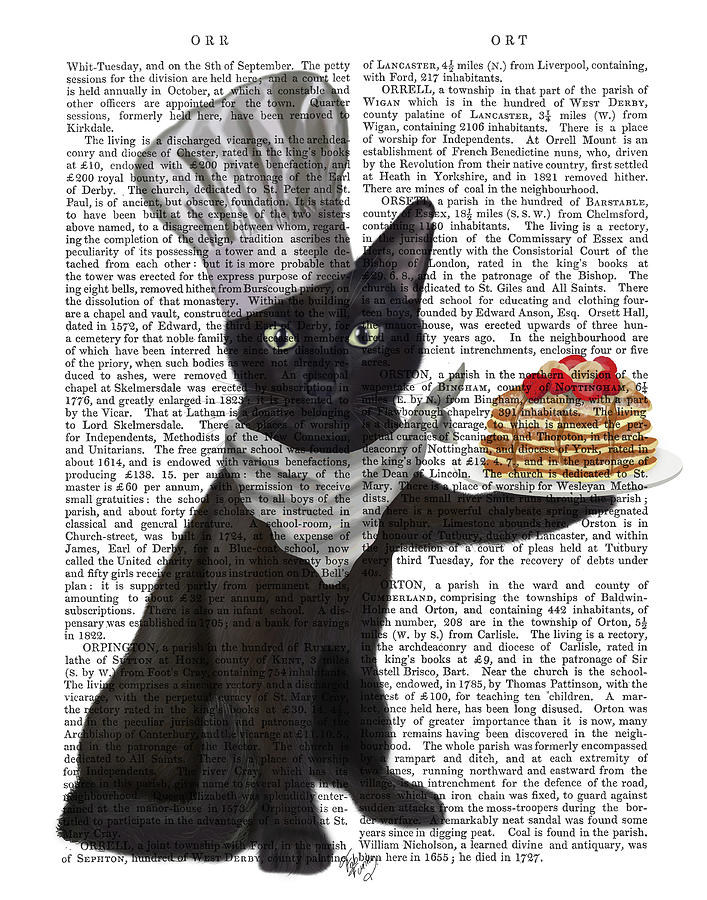 Cat Painting - Black Cat Pancakes Book Print by Fab Funky