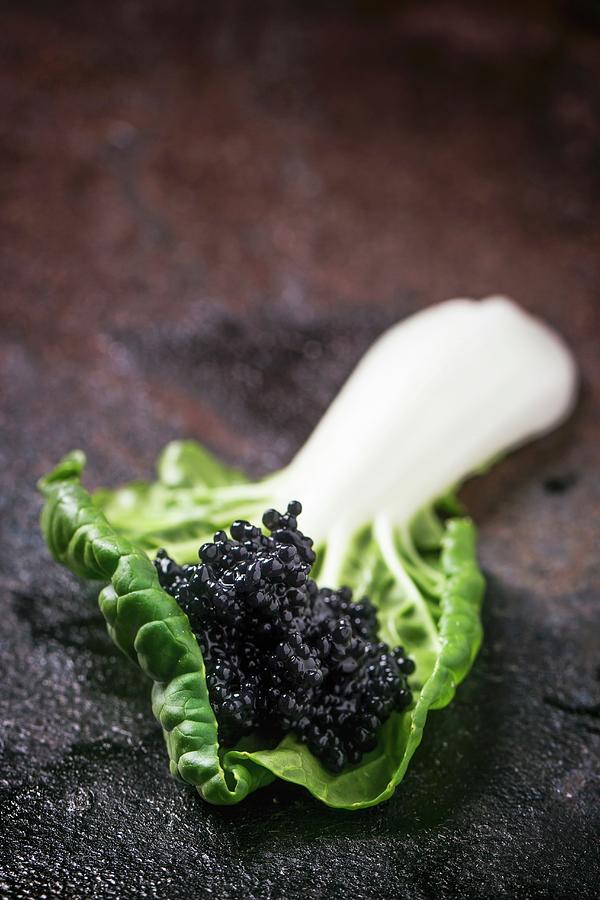 Black Caviar On A Chard Leaf Photograph by Natasha Breen