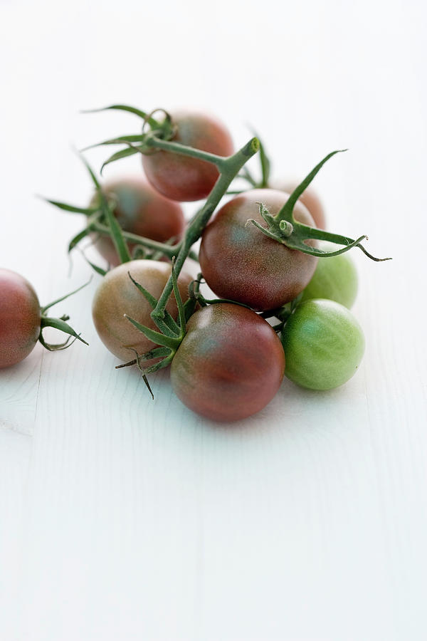 black Cherry tomato Variety Photograph by Michael Wissing
