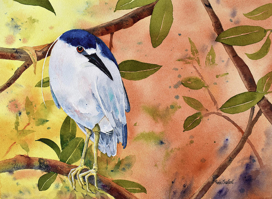 Black Crowned Night Heron Painting by Renee Chastant - Pixels