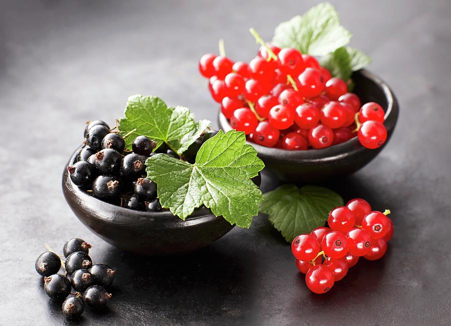 Black Currants And Redcurrants Photograph by Kai Schwabe