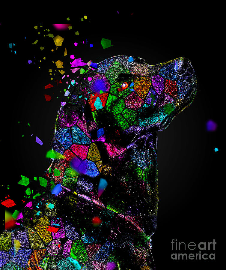 Black Dogs Matter Digital Art by Kathy Kelly