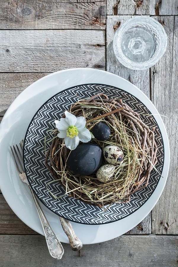 Black Eggs And Quail Eggs In Nest On Plate Photograph by Ulla@patsy