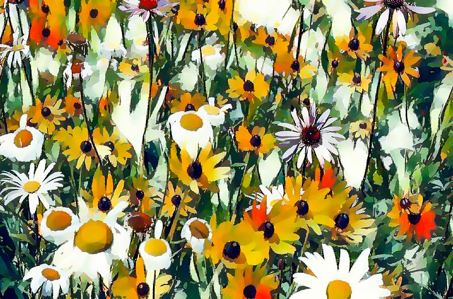 Black Eyed Susan Flower 50 Painting by Jeelan Clark
