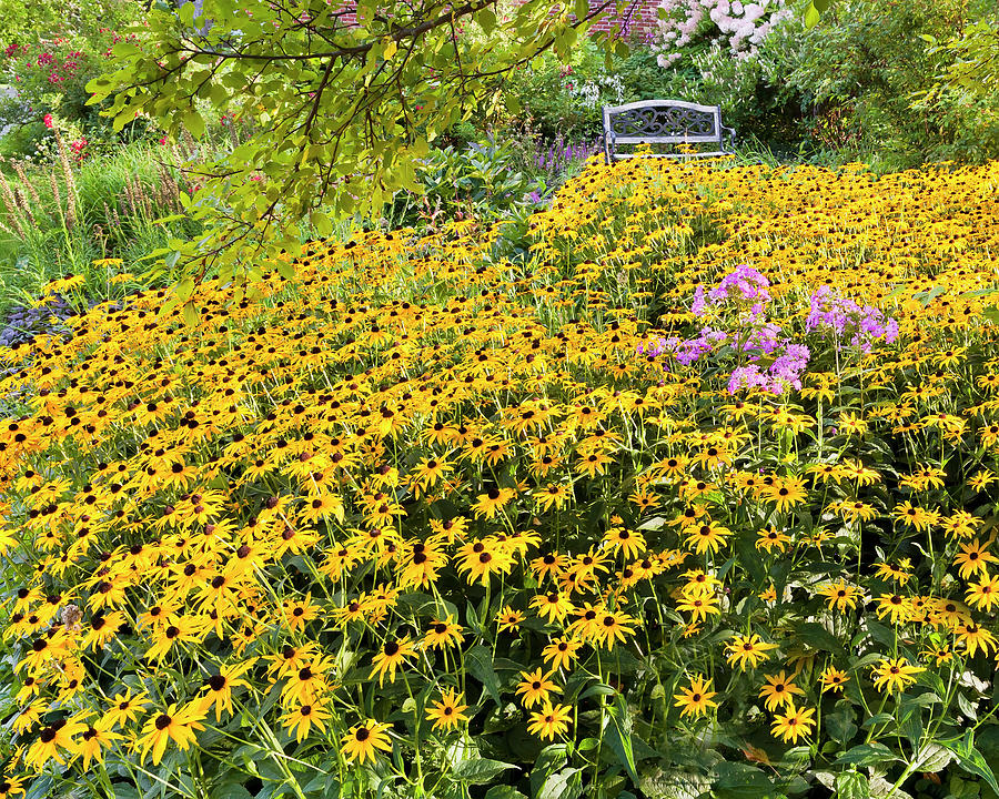 Susan, Garden