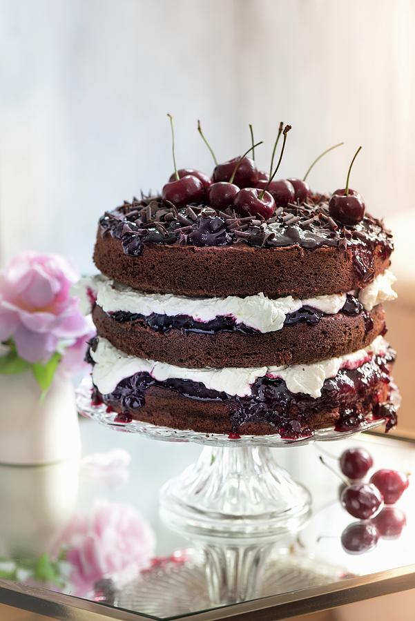 Black Forest Cake Photograph by Winfried Heinze