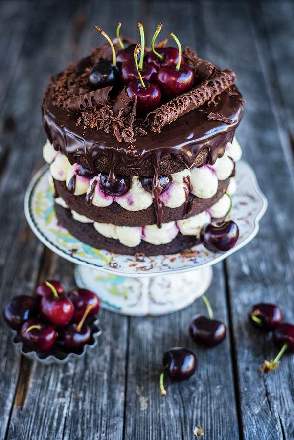 Black Forest Gateau On Cake Stand Photograph by Lucy Parissi