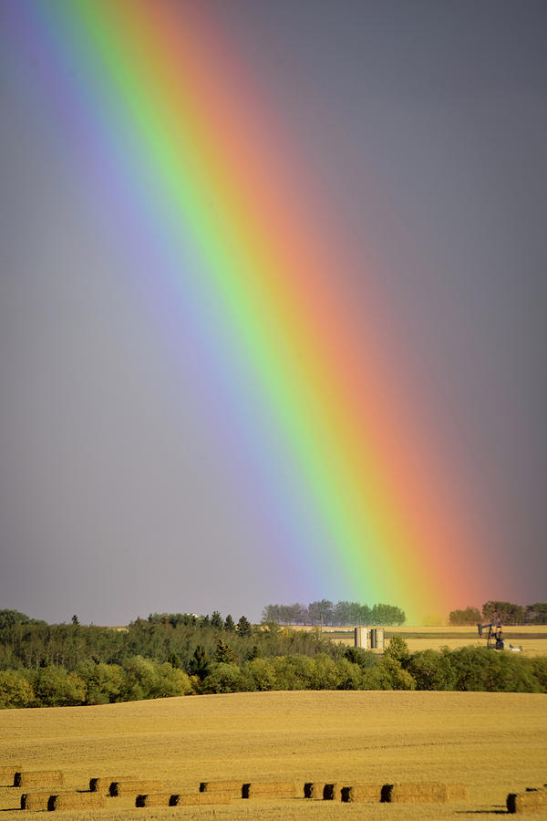 Afternoon Photograph - Black Gold at the end of the Rainbow by Phil And Karen Rispin