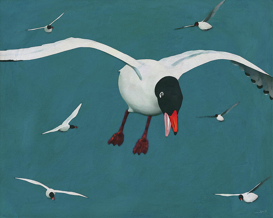 Black-Headed Gulls Digital Art by Jan Keteleer