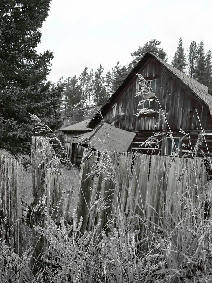 Black Hills Cabin BW Photograph by Cathy Anderson
