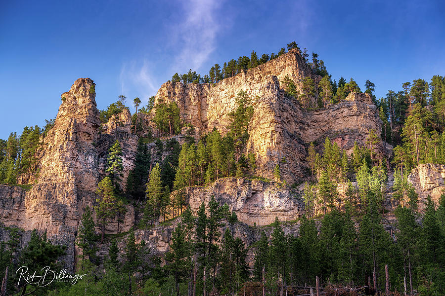 Black Hills Mountain No 1095 by Rick Billings Black Hills Mountain No 1095 by Rick Billings