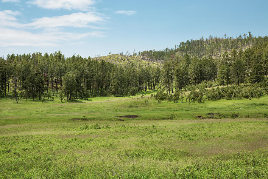 Black Hills Range Land Photograph