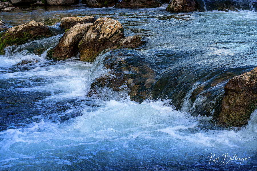 Black Hills Stream No 1092 by Rick Billings Black Hills Stream No 1092 by Rick Billings