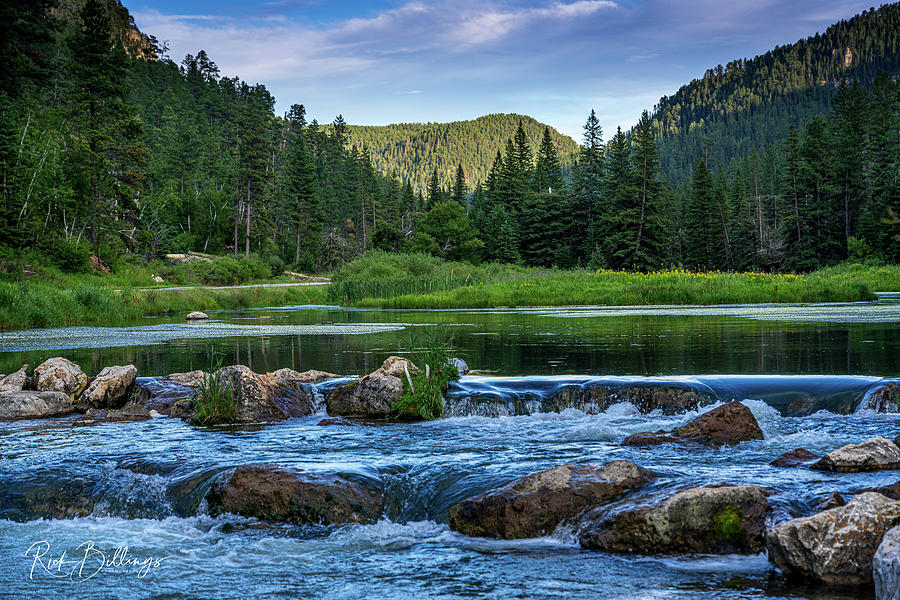 Black Hills Stream No 1096 by Rick Billings Black Hills Stream No 1096 by Rick Billings