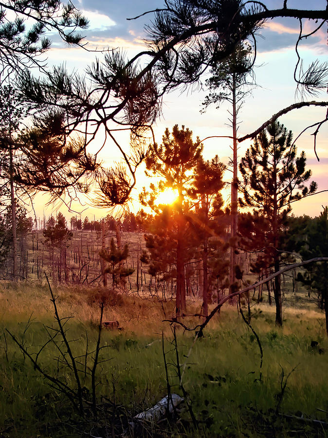Black Hills Sunset  Photograph by Cathy Anderson