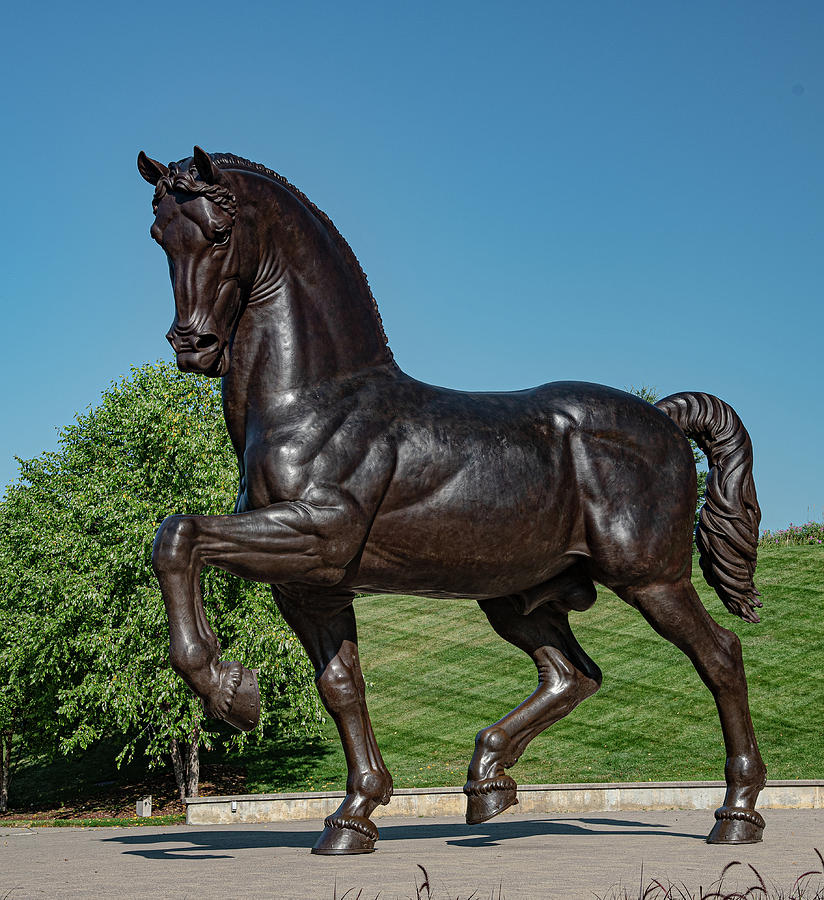 Bronze Horse 2 Photograph by Phyllis Spoor