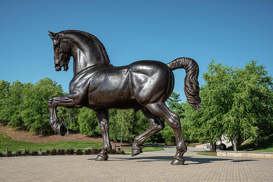 Bronze Horse Photograph by Phyllis Spoor