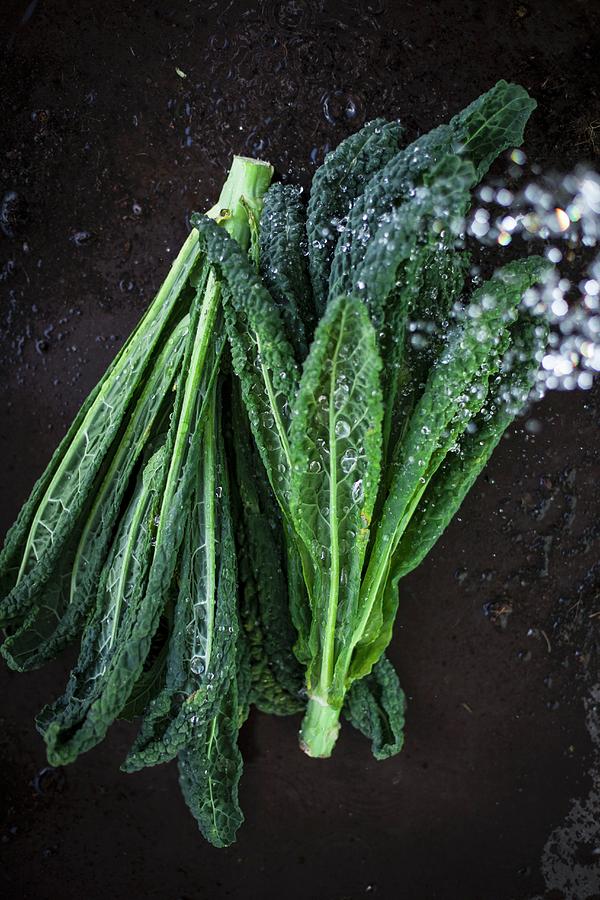 Black Kale With Droplets Of Water Photograph by Eising Studio