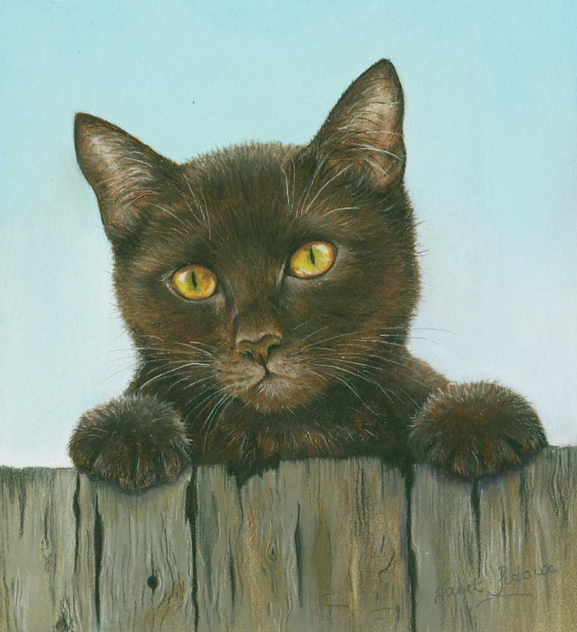 Black Kitten Painting by Janet Pidoux - Fine Art America