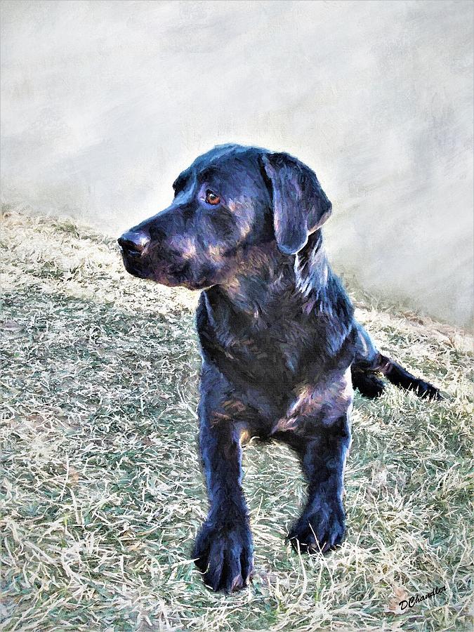 Black Labrador Retriever - Daisy Painting by Diane Chandler