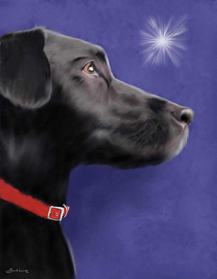Black Labrador Retriever - Wish Upon a Star  Painting by Sannel Larson