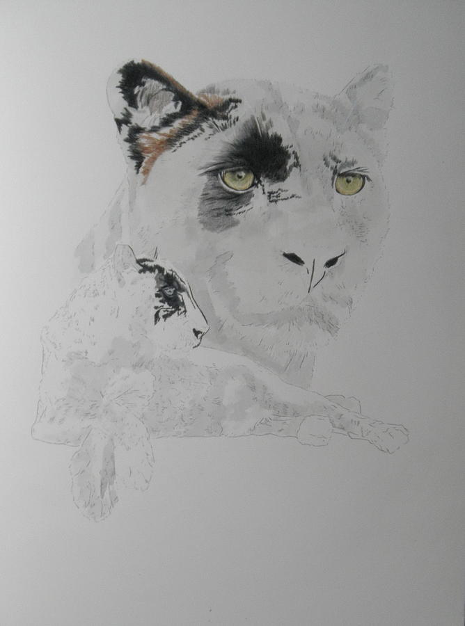 Black Leopard x2 by Barbara Keith Black Leopard x2 by Barbara Keith