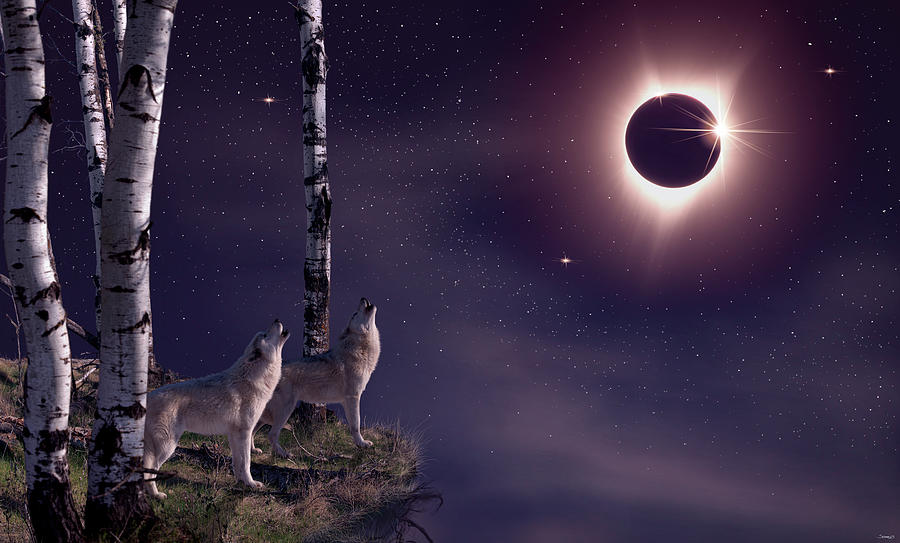 Wolves Photograph - Black Moon (eclipse 2017) by Gordon Semmens