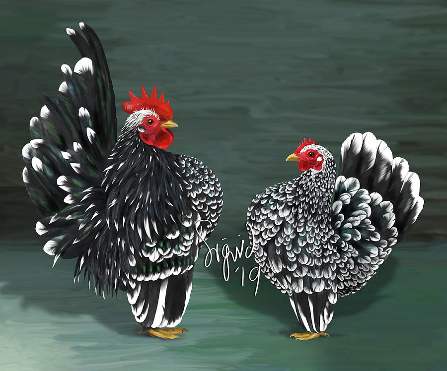 Black mottled Serama pair by Sigrid Van Dort Black mottled Serama pair by Sigrid Van Dort