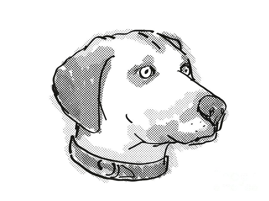 Black Mouth Cur Dog Breed Cartoon Retro Drawing Digital Art