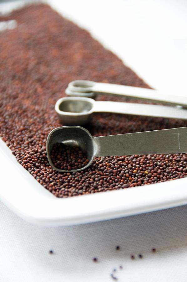 Black Mustard Seeds In A Dish With Measuring Spoons Photograph by Nele Siebel