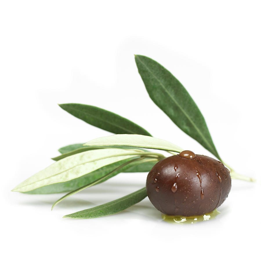 Black Olive With Leaves Photograph by Imagestock