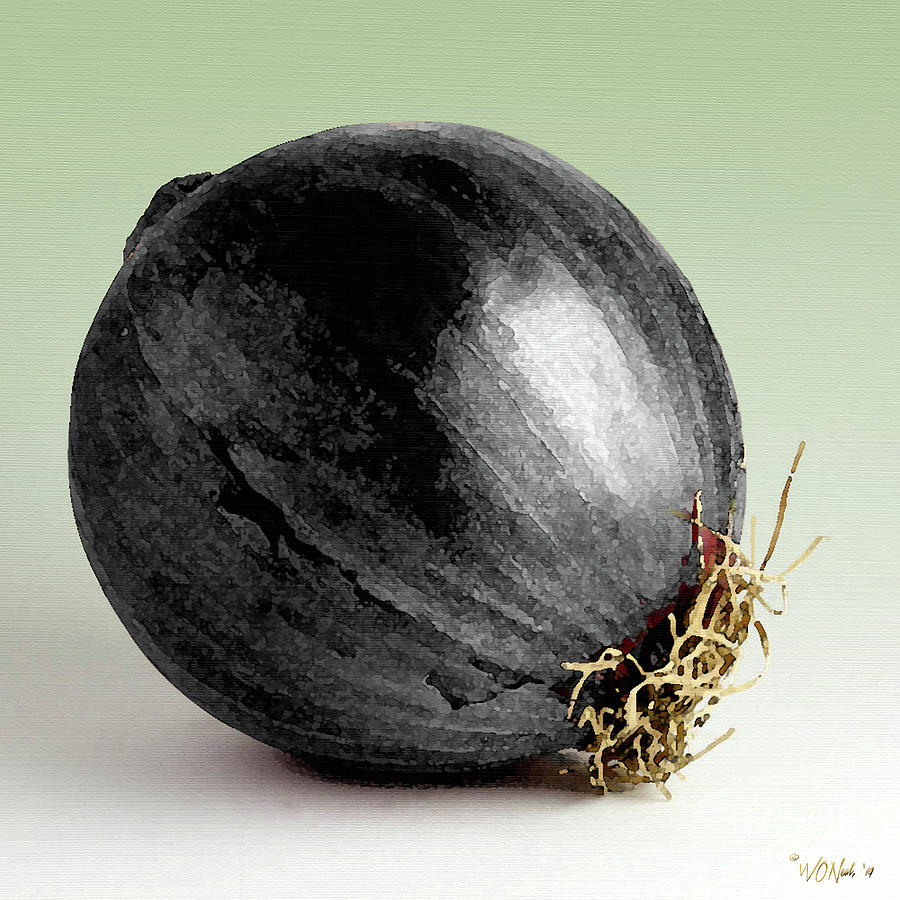 Plant Digital Art - Black Onion by Walter Neal